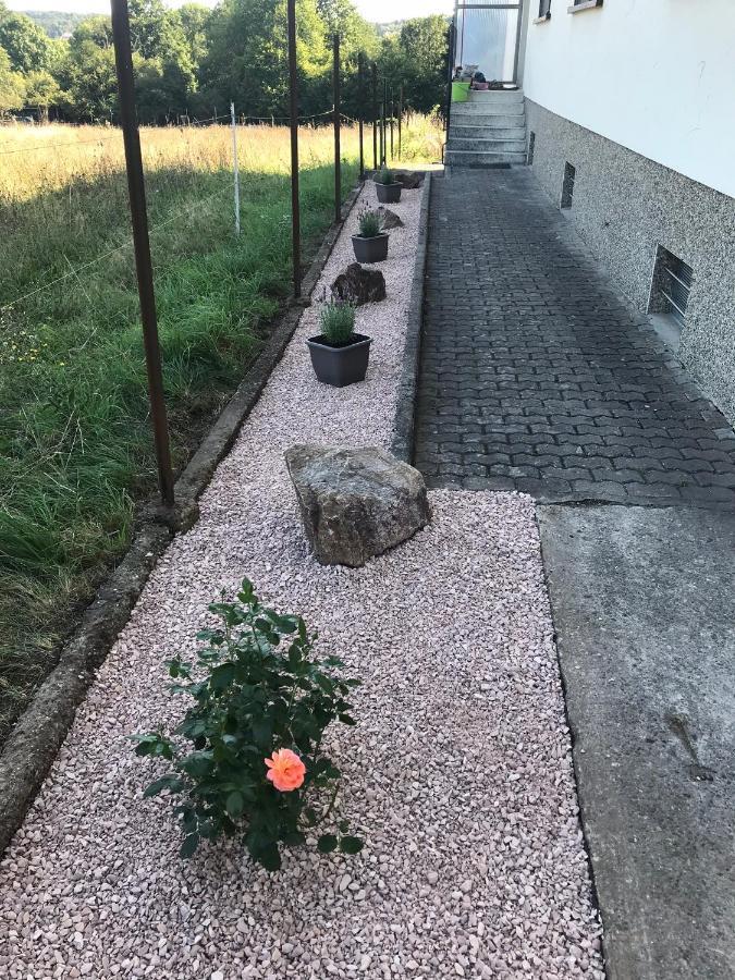 Ferienwohnung Sunny - Moderne Ferienwohnung Im Gruenen In Saarbruecken-West Dış mekan fotoğraf