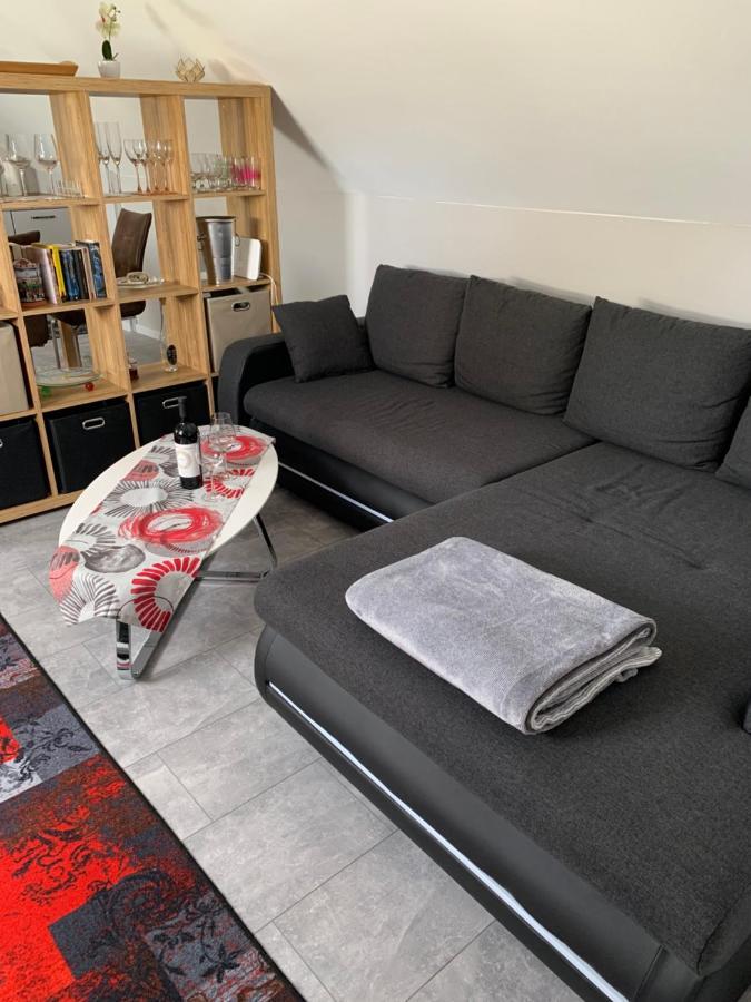 Ferienwohnung Sunny - Moderne Ferienwohnung Im Gruenen In Saarbruecken-West Dış mekan fotoğraf